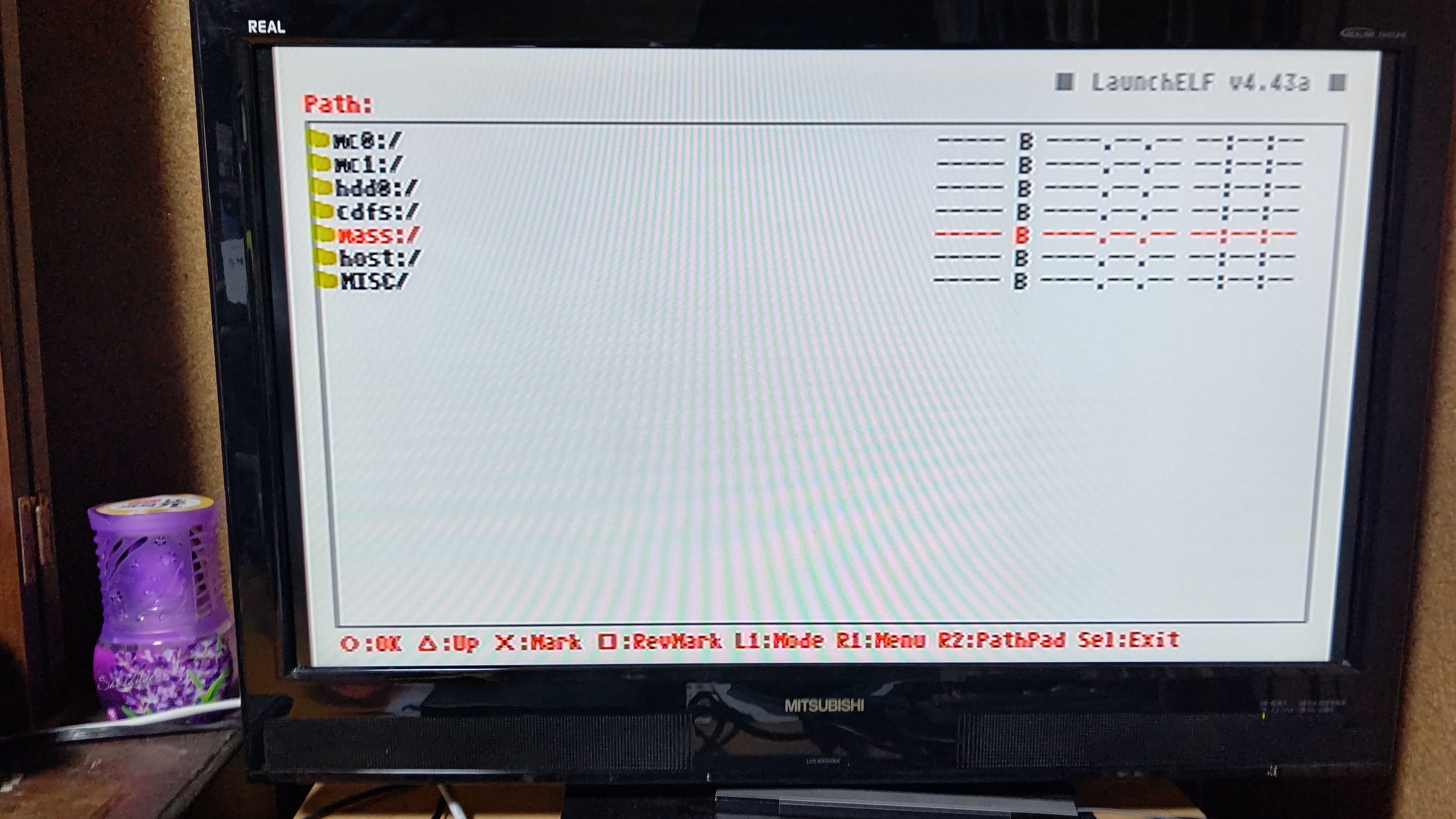 BIOSの吸出し12